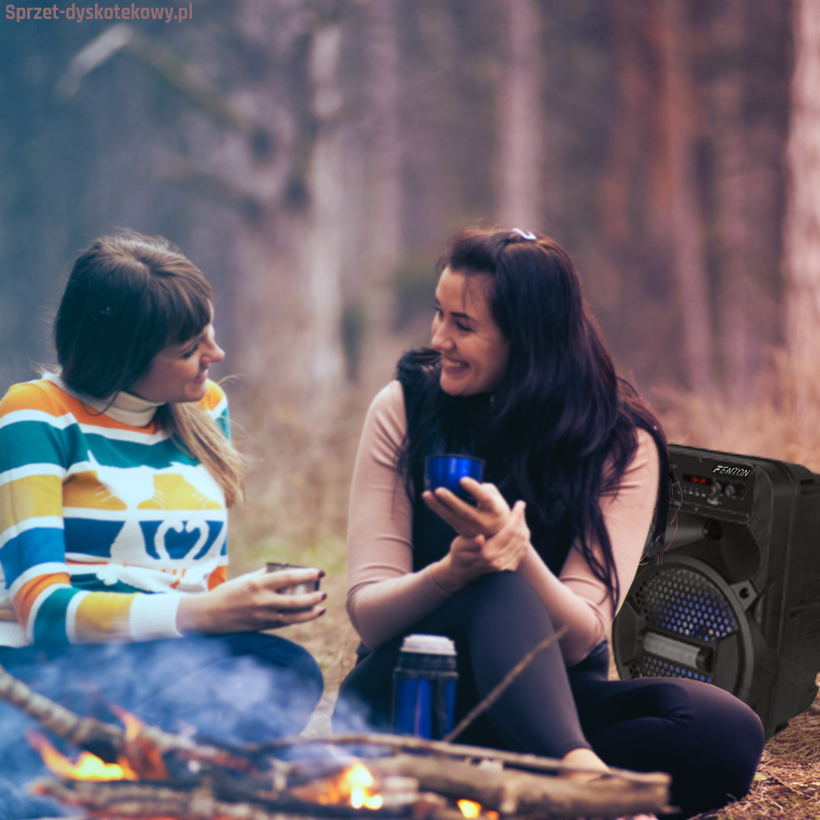 Nagłośnienie mobilne BOOMBOX FPC8 8'' PARTY akumulator 